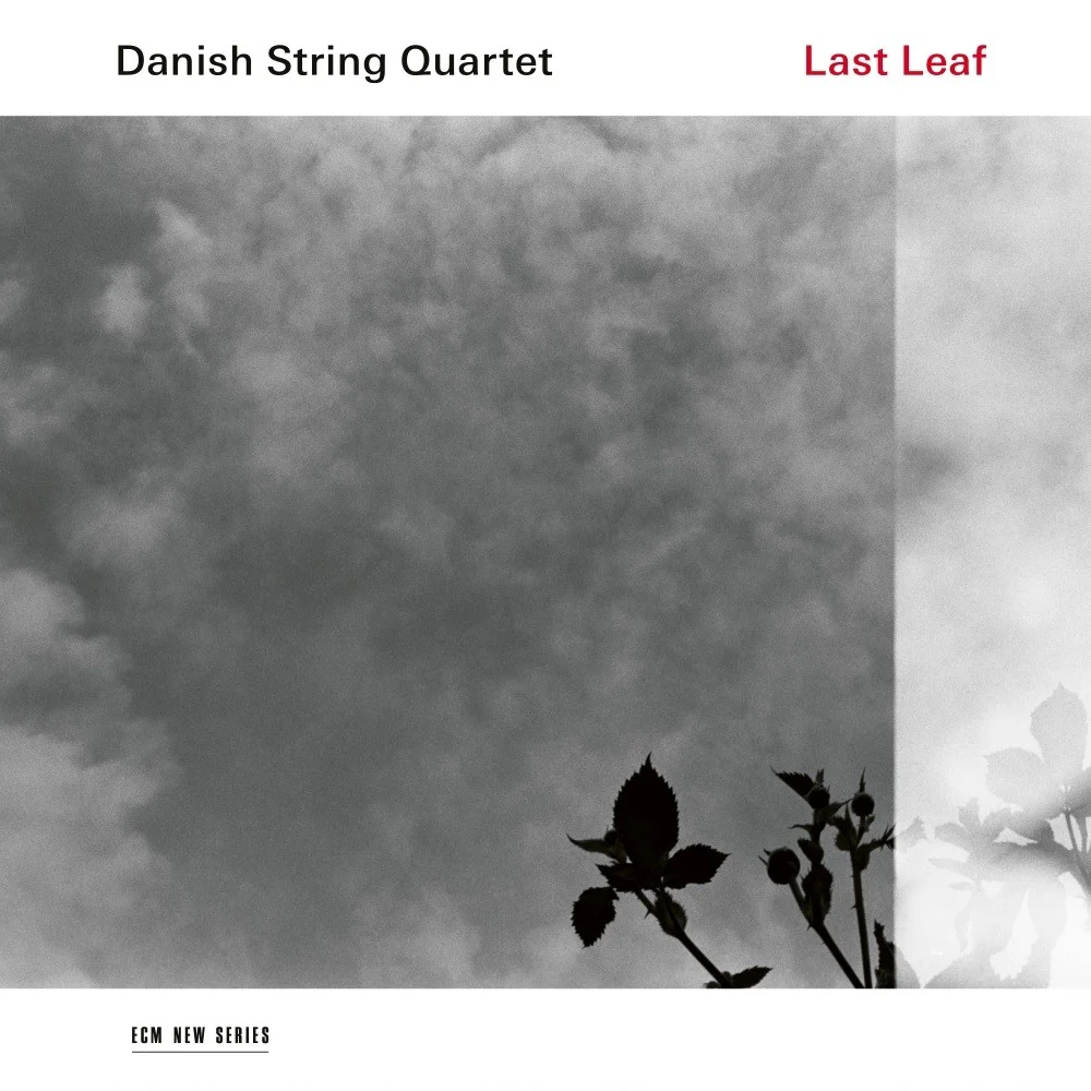 Last Leaf - Image 2
