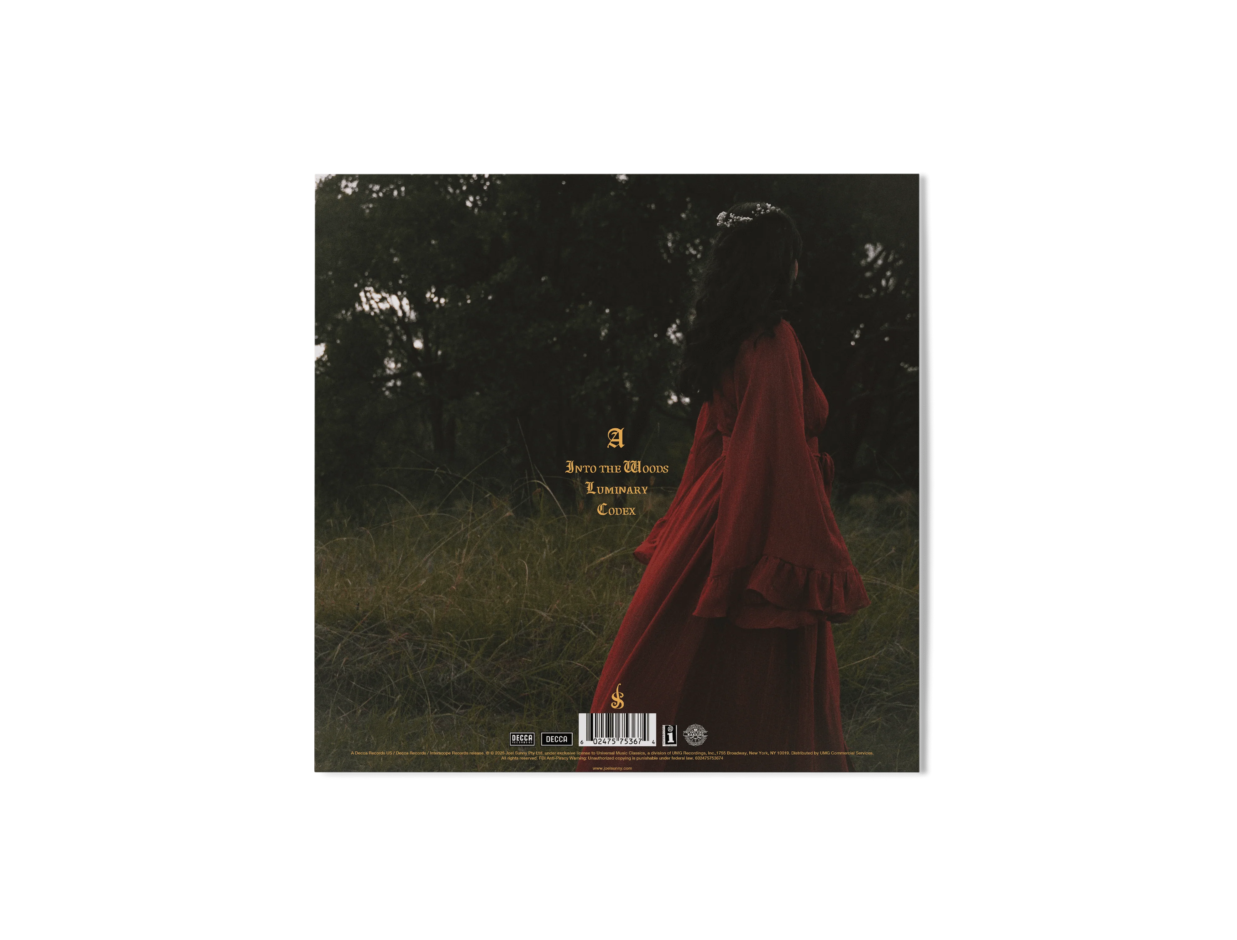 Volume 1: Into The Woods - Image 4